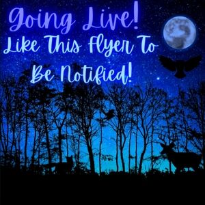 🦉🌙✨️🪐⚡️LIVE ALART⚡️🪐✨️🌙🦉